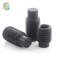 M3 M4 M5 M6 M8 M10 M12 Of Grade 12 9 Carbon Steel Convex End Set Screws Black Internal Hexagon Screws Headless Machine Screws Fasteners