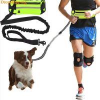 Reflective Elastic Sports Fanny Pack Dog Leash Set Traction Rope Pet Dog Running Belt Elastic Hands Free Jogging Pull Dog Leash Collars