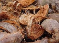 กาบมะพร้าว coconut sheath กาบมะพร้าวคุณภาพ 5 ลิตร กาบมะพร้าว ทำพาเลตได้ ปลูกต้นไม้ได้ เป็นฟืนได้ แปรรูปได้ พร้อมส่ง
