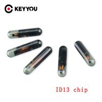 Keyyou Immobiliser กระจก Id13ชิปกุญแจรถกุญแจสำหรับ Audi สำหรับ Fiat สำหรับ Honda Lancia Saab สำหรับ Vw ใหม่/เปล่า/ไม่ได้เข้ารหัส