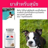 ห้ามพลาด [ลด50%] แถมส่งฟรี อาหาร สุนัข กระเพาะปัสสาวะอักเสบ ลดการเป็นนิ่ว และ ไต ของน้องแมว สุนัข ฉี่เป็น วุ้น อาหารสุนัข royal canin อาหารสุนัขแก่