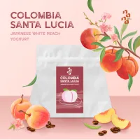เมล็ดกาแฟ คั่วอ่อน Nana Coffee Roasters - Colombia Santa Lucia 100g