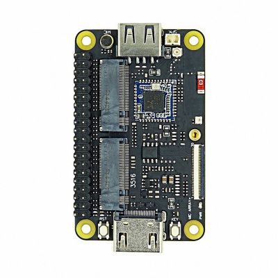 For RV Dock Expansion Board Allwinner D1 Development Board Backplane RISC-V Linux Entry-Level with Wifi