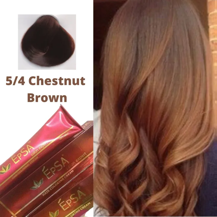 chestnut hair color