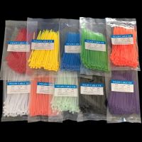 9 color 3 x 100MM 100 / bag width 2.5 MM strong plastic cable ties with self-locking nylon cable ties International standards