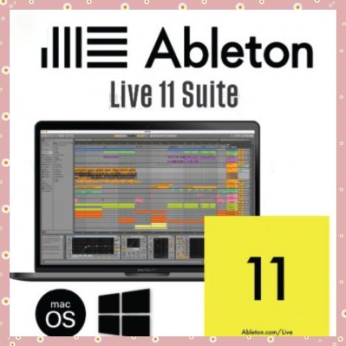 Ableton Live Suite โปรแกรมทำเพลง ตัดต่อเสียงครบวงจร | Lazada.Co.Th