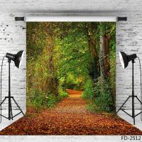 AAutumn Forest Fallen Leaves Path Leaf Woods Scenery Backdrop 3D Vinyl Photography Background Baby Portrait Photo Studio PropsM