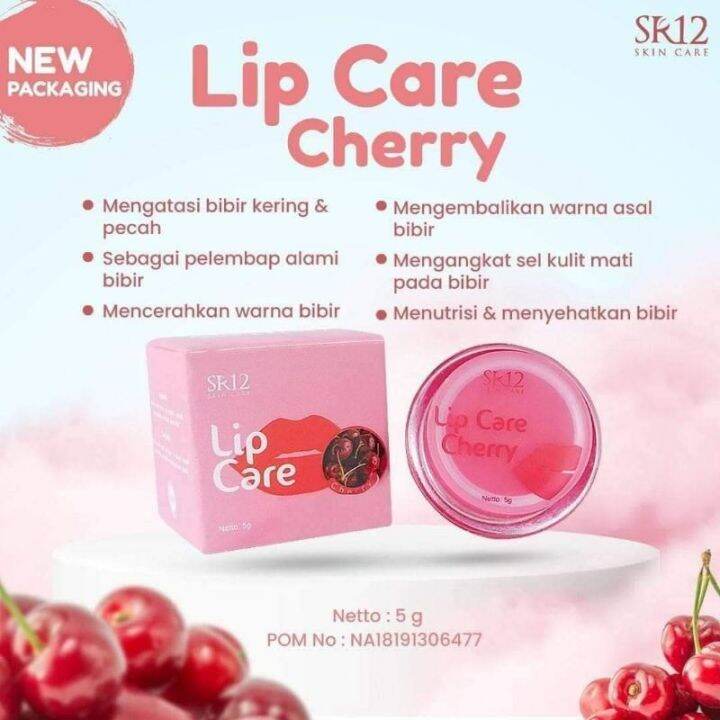 Lip Balm Skincare Atau Make Up