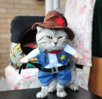 ZZOOI Halloween Pet Costume For Small Medium Cat Doctor Cowboy Navy Funny Outfit Cosplay Birthday Party Suit Costumes Pet Product