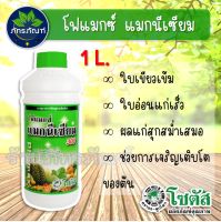 (ขนาด 1 ลิตร) โฟแมกซ์ แมกนีเซียม 300 ทำให้ใบเขียวเข้มสมบูรณ์ ช่วยให้ใบอ่อนพัฒนาเป็นใบแก่เร็วขึ้น ช่วยให้ผลไม้สุกแก่สม่ำเสมอ