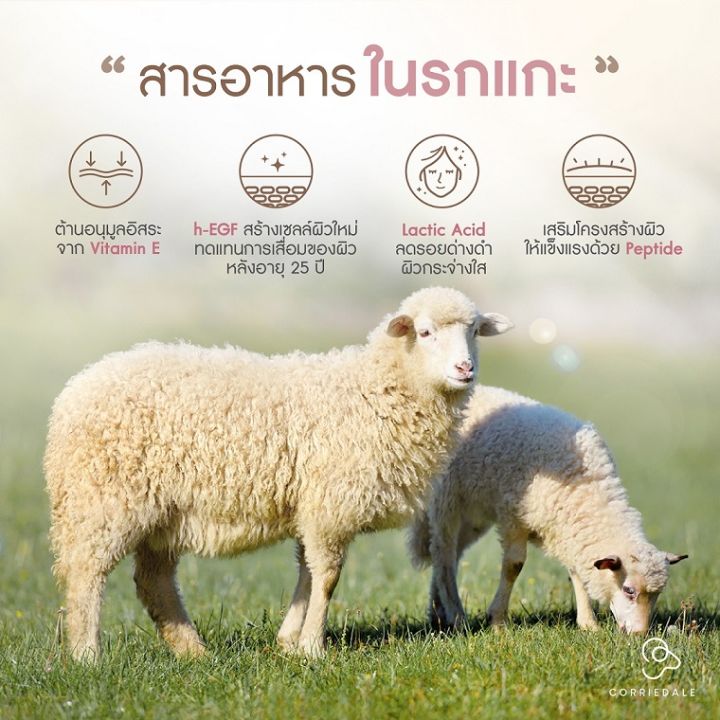 มูสโฟมล้างหน้า-จากรกแกะ-หอยทาก-corriedale-sheep-placenta-whitening-mousse-foam-150-ml-ล้างสะอาดหมดจด-ไม่แห้งตึง-ผิวกระจ่างใส-ไร้ริ้วรอย