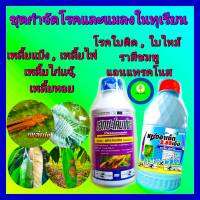 ชุด กำจัดโรคและแมลงในทุเรียน กำจัดเพลี้ย กำจัดเชื้อรา อะซีทามิพริด 1 ลิตร+เฮกซะโคลนาโซล 1 ลิตร เพลี้ยไฟ เพลี้ยแป้ง ใบติด แอนแทรคโนส