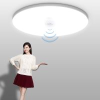 Led Ceiling Lamp Motion Sensor Ceiling Lights AC85-265V Led Lights Ceiling Chandelier Night Light For Home Stairs Garage Lamp Night Lights