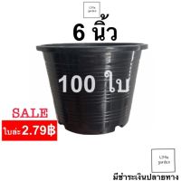 Little กระถางต้นไม้ 6 นิ้ว 100 ใบ (ดำเงาA+?)