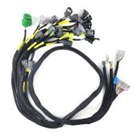 OBD1 Budget D &amp; B-Series Tucked Engine Harness for Honda Civic Integra B16 B18 D16 CNCH-OBD1-1