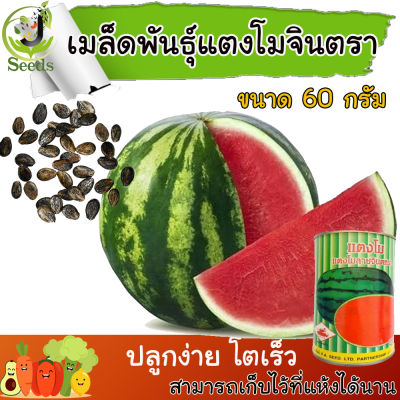 เมล็ดพันธุ์ แตงโมจินตหรา ( 1 กระป๋อง/ 60 กรัม ) เนื้อแน่น แดงจัด หวาน เปลือกบาง ขายดี เมล็ดแตงโม แตงโมจินตรา