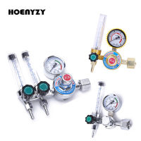 Single Pipe/Double Pipe Argon Regulator Gas Pressure Reducing Valve Argon Pressure Reducer Flow Meter Decompression Table Valves