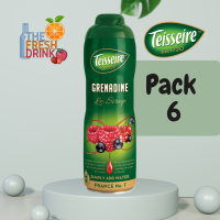 เตสแซร์ น้ำหวานเข้มข้น กลิ่นเกรนาดีน 600มล Teisseire Grenadine Syrup 600ml แพ็ก 6 ขวด