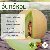 เมล็ดเมล่อนกาเลียพันธุ์จันทร์หอม 100 เมล็ด ตราพยัคฆ์ติดปีก เมล็ดเมล่อน กาเลีย เมล่อนเนื้อเขียว เมล็ดพันธุ์ เมล็ดผลไม้ เมล่อน เมล็ดพันธุ์ผัก