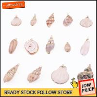 ULBVZD77G 20pcs ทะเลทะเลทะเล เปลือกหอย cowrie สีขาวธรรมชาติ 10รูปแบบ เสน่ห์เสน่ห์ สร้อยคอสำหรับผู้หญิง เปลือกหอยสังข์ การทำเครื่องประดับ