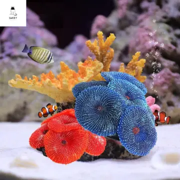 Coral Reef Ornament - Best Price in Singapore - Nov 2023