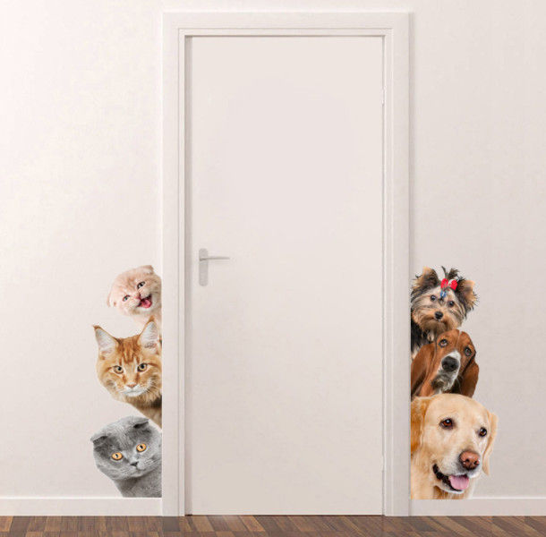สติ๊กเกอร์ติดผนัง-ลายน้องหมา-น้องแมว-แต่งห้องให้น่ารัก