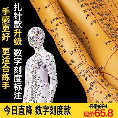 2023 Zhenghe ร่างกายมนุษย์เส้นลมปราณและจุดฝังเข็มการฝังเข็มและการรมยาสิบสองเส้นลมปราณ