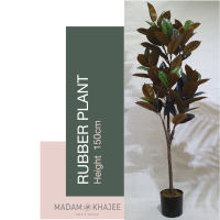 ต้นยางอินเดีย สูง 185ซม. ต้นไม้ประดิษฐ์เกรดพรีเมี่ยม Rubber plant 185 CM Premium artificial plant for home decoration