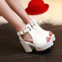 【CW】 Big Size Sandals 2017 Platform Female Thick Heel Heels Peep Toe Shoes Sandalias Plataforma 9933