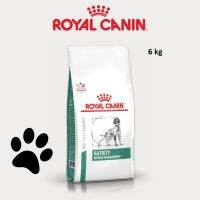 ส่งฟรีทุกชิ้นทั่วไทย  Royal Canin VD DOG SATIETY SUPPORT 6 KG อาหารสำหรับสุนัขโรคอ้วน หิวง่าย ต้องการลดน้ำหนัก 6 กิโลกรัม