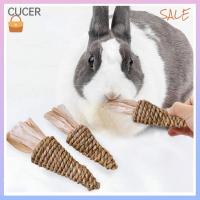 【COD Ready Stock】Pet Chew Toys Snacks Sweet Bamboo Apple Wood Molar Toy For Squirrel Rabbit Guinea Pigs Chinchilla Hamster