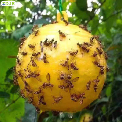 ZDJR ลูกบอลดักแมลงวันผลไม้ในสวนสีสันสดใสดึงดูดแมลงบินได้สำหรับจับแมลงแมลงวันผลไม้