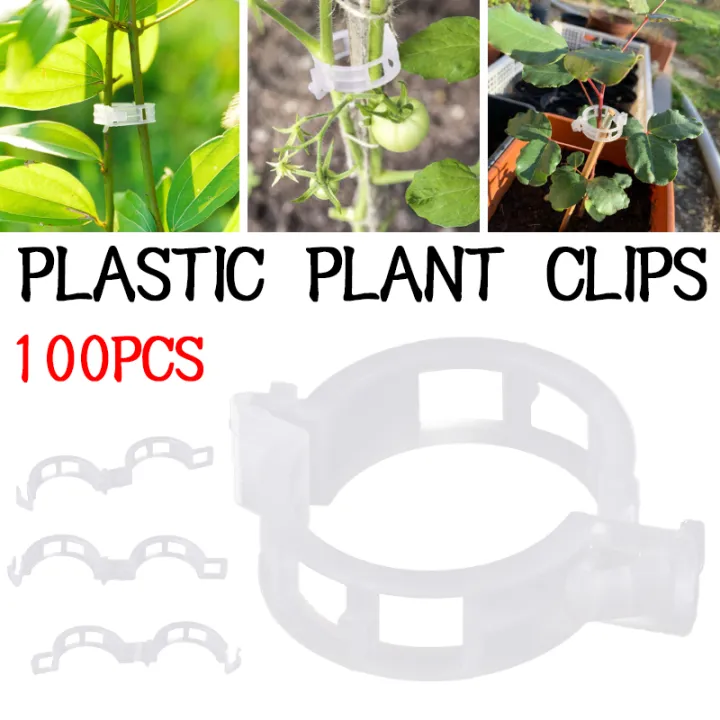 Plastic Plant Clips Supports Connects Reusable Protection Grafting ...