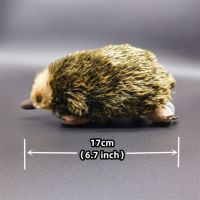 Echidna ของเล่นตุ๊กตาหนามเลียนแบบสัตว์เหมือนจริง,ตุ๊กตาน่ารักโมล Plushie Spiny Anteater