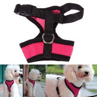 Hot Nylon Mesh Dog Cat Harness And Leash Breathable Harnesses Small Dog Puppy Harness For For French Bulldog Chihuahua Pug Pets Leashes