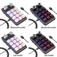 Custom Keyboard Volume Button Knob Programming Macro Gaming Hotswap Keypad, 12 Keys 2 Knob