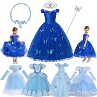 ZZOOI Girls Princess Cinderella Dress Up Kids Fluffy Bead Birthday Party Halloween Christmas Costume Kids Butterflies Sleeveless Dress