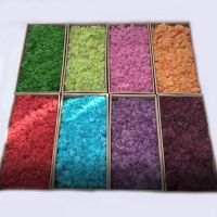 【hot】 1000g artificial Moss /Garden Wall Material Garden Landscape Fake