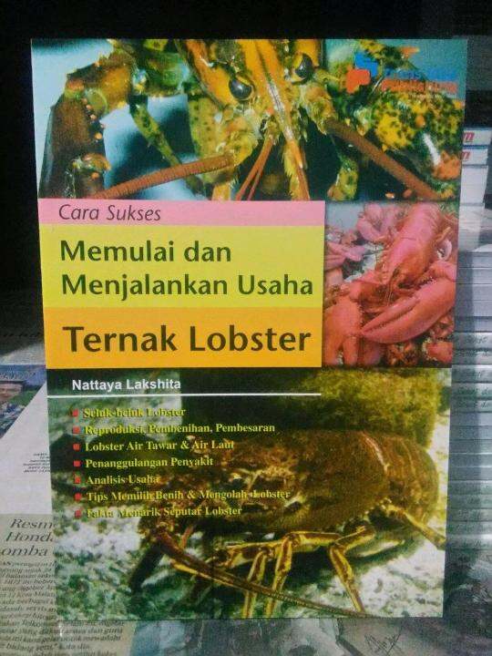 Cara Sukses Memulai Dan Menjalankan Usaha Ternak Lobster - Nattaya ...