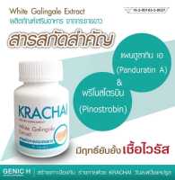 KRACHAI กระชาย สารสกัดจากกระชายขาว ผลิตภัณฑ์เสริมอาหารต้านภูมิคุ้มกัน บรรจุ 30 แคปซูล ( 1 กระปุก )