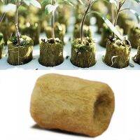 50pcs Single Hole Grow Media Plug Starter Cubes Rock Wool Plant Hydroponic Propagation Transplanting Seedling Soil Block