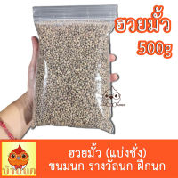 ฮวยมั้ว ฮวยมั๊ว แบ่งชั่ง 500g  เม็ดเล็ก เต็มเม็ด เนื้อแน่น คัดเกรด ฮวยมั๊ว แบ่งชั่ง มั้ว ขนมนก รางวัลนก ฝึกนก