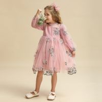 Flower Girls Princess Dresses for Wedding Birthday Spring amp;Autumn Long Sleeve Tulle Kids Casual Dress Embroidery Elegant Gowns