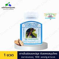 เถาเอ็นอ่อนแคปซูล Thanyaporn Herbs เถาเอ็นอ่อน ธันยพรสมุนไพร 100 แคปซูล