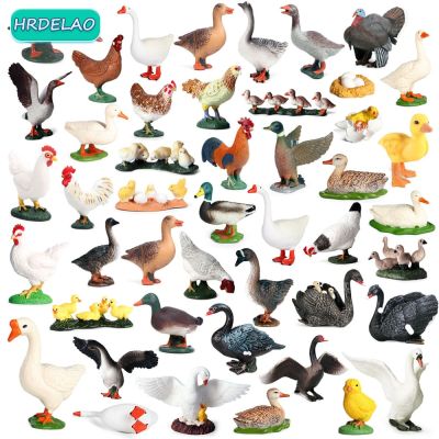 ZZOOI Simulation Farm Animals Poultry Cycle Chicken Duck Turkey Swan Goose Figurines Model Action Figures Educational Toy for Children