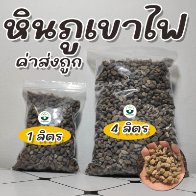 ถูกที่สุด หินภูเขาไฟ (Pumice) พร้อมส่ง เพื่อไม้มงคล ไม้ฟอกอากาศ ไม้ดอก ไม้ประดับ แคคตัส ไม้อวบน้ำ