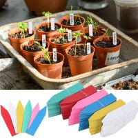 100pcs Garden Plant Labels Flower Pots Plastic Plant Tags Nursery Seedling Tray Markers Label DIY Garden Decoration Marking Tool