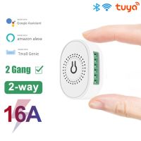 ❁ 16A Mini Tuya Smart 2 Gang WIFI Switch DIY Switch Module Support Two Way Switch APP Control Work With Alexa Google Assistant