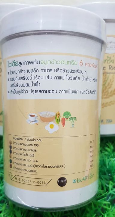 ข้าวฮางแม่สุ-จมูกข้าวบด-6-สายพันธุ์