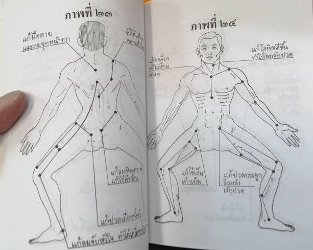 หนังสือชุด-4เล่ม-แพทย์แผนไทย-เพชรน้ำเอก-ตำราหมอนวด-ตำราว่าน108-เล่ม-1-สมุนไพร-หมอยา-หมอไทย-แพทย์แผนไทย-ดี-ควรมี-หนังสือใหม่-พร้อมส่ง